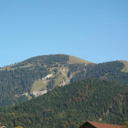 Haus Lehen Apartment