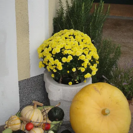 Apartment Haus Lehen *