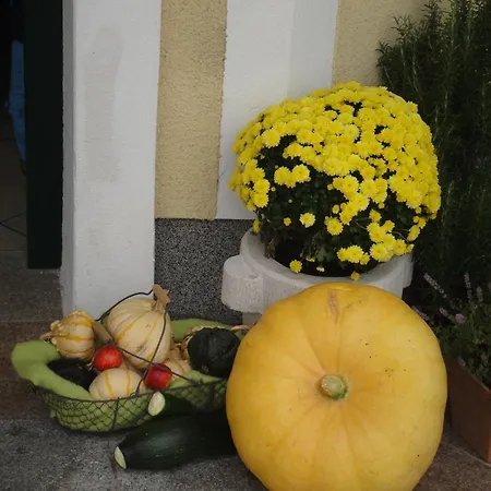 Haus Lehen Sankt Koloman