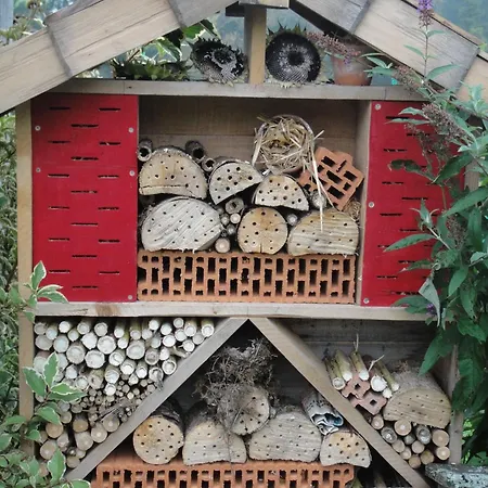 Haus Lehen * Sankt Koloman