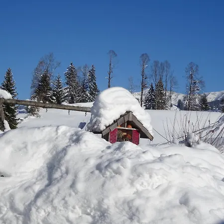 Apartment Haus Lehen