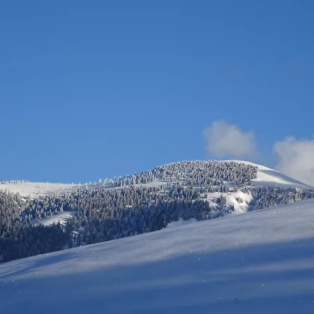 Apartment Haus Lehen *