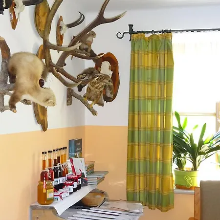 Haus Lehen Apartment *