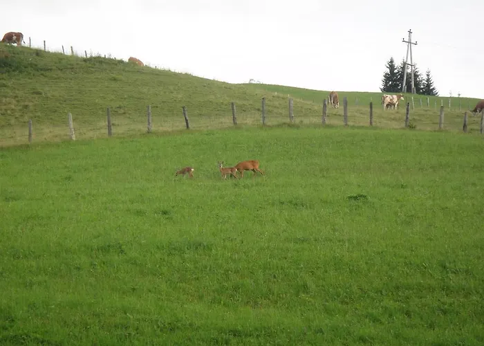 דירה Haus Lehen *