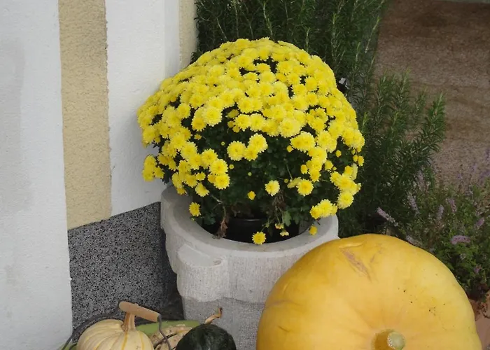 דירה Haus Lehen *